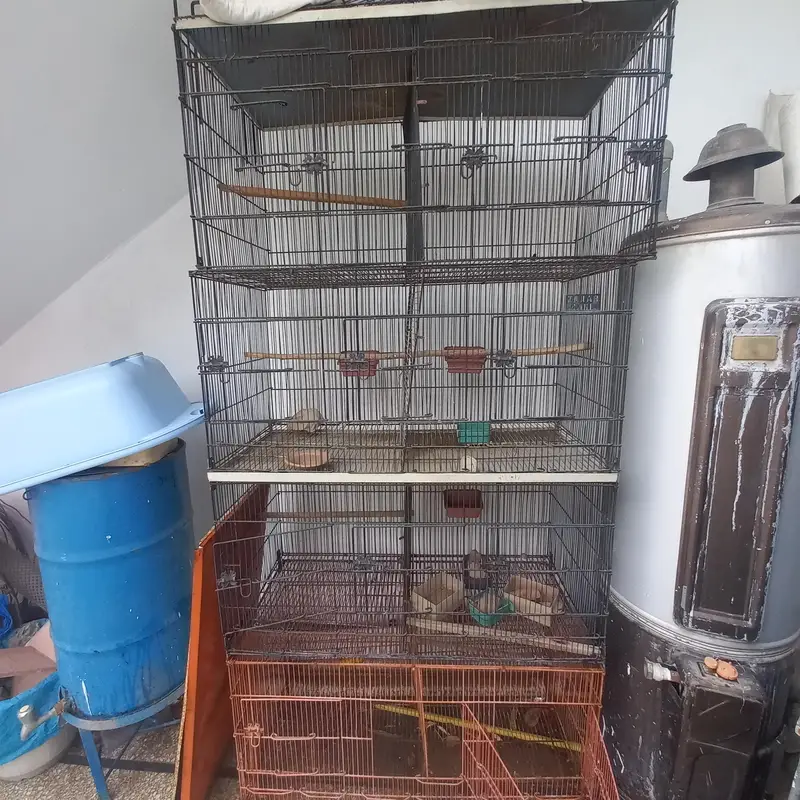 Brids Cage for Sale 6 × 3 portion for Budgies Finch Love Brird Java — photo 5