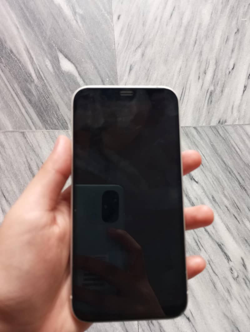 Apple iPhone 12 1