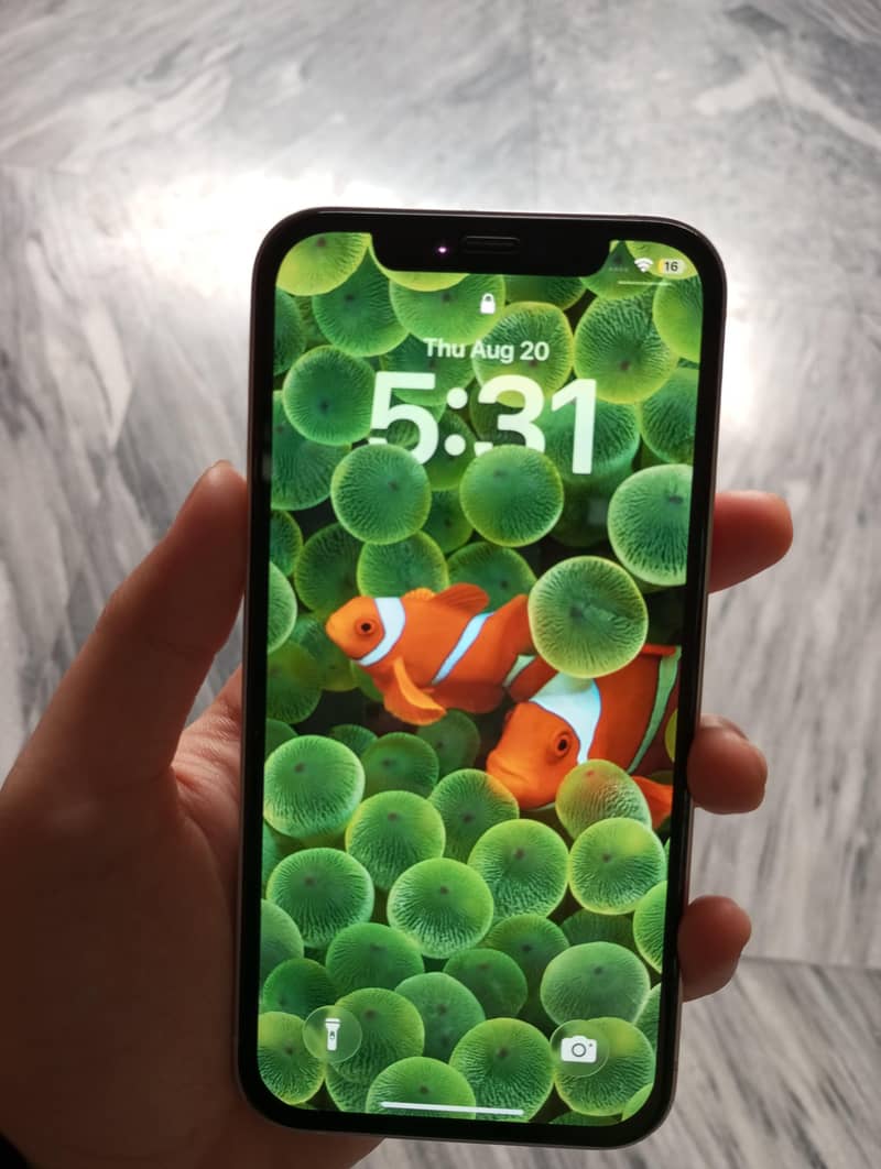Apple iPhone 12 2