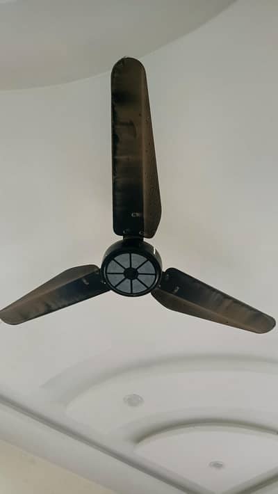SK Premium Ceiling Fan Model