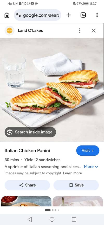panini sandwich maker