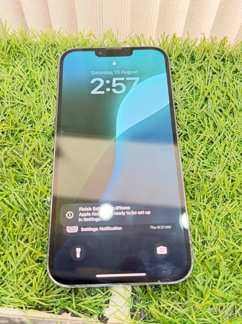 Apple iPhone 13 Pro Max 1