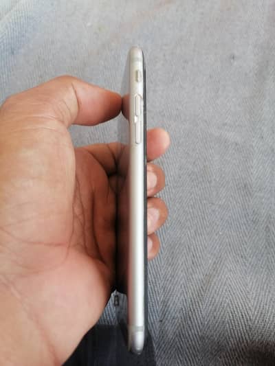 iPhone 6