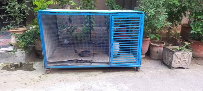 cage big size on wheels