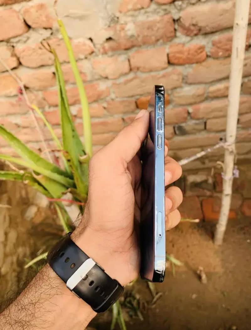 Apple iPhone 12 Pro 1