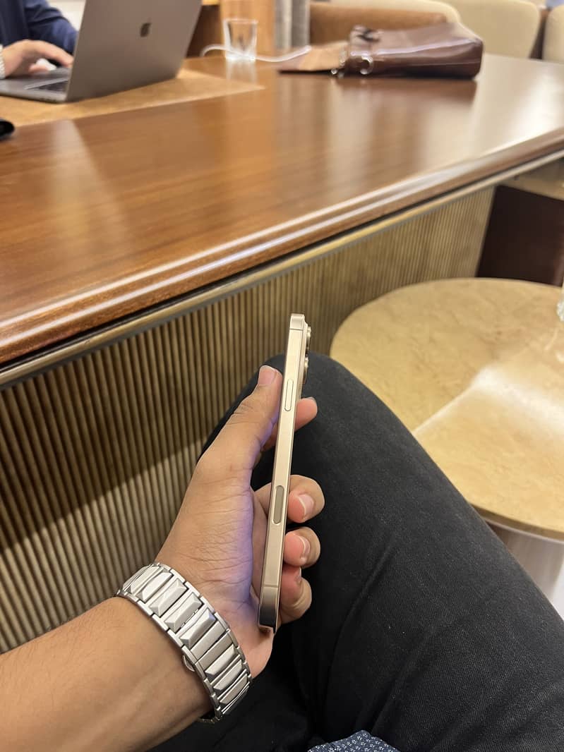 Apple iPhone 16 Pro Max 2