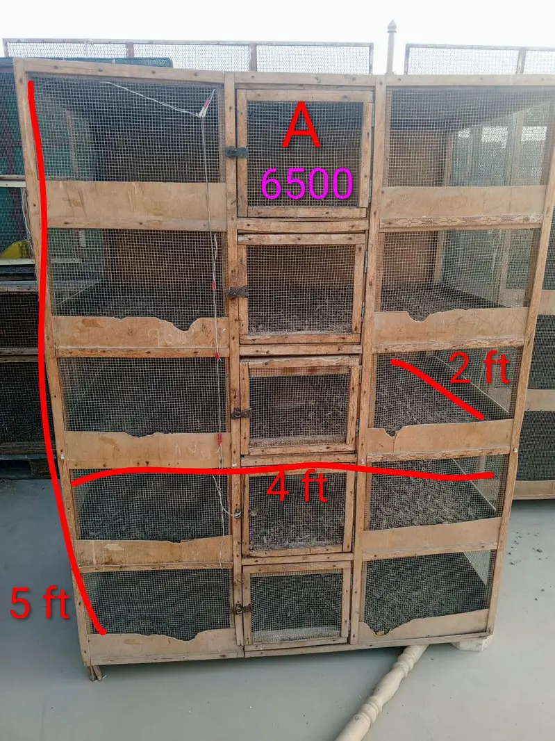 Hen Wooden Cages — photo 2