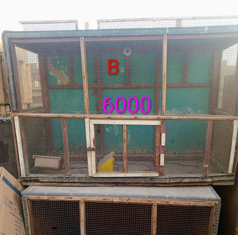 Hen Wooden Cages — photo 3