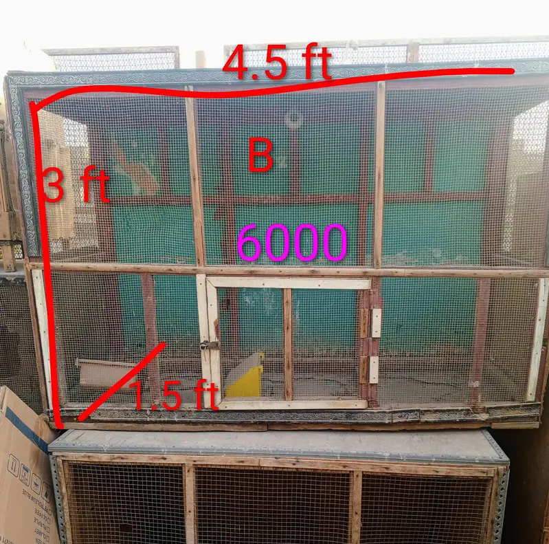 Hen Wooden Cages — photo 4