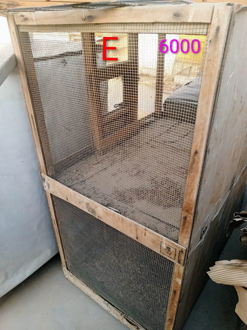 Hen Wooden Cages — photo 9