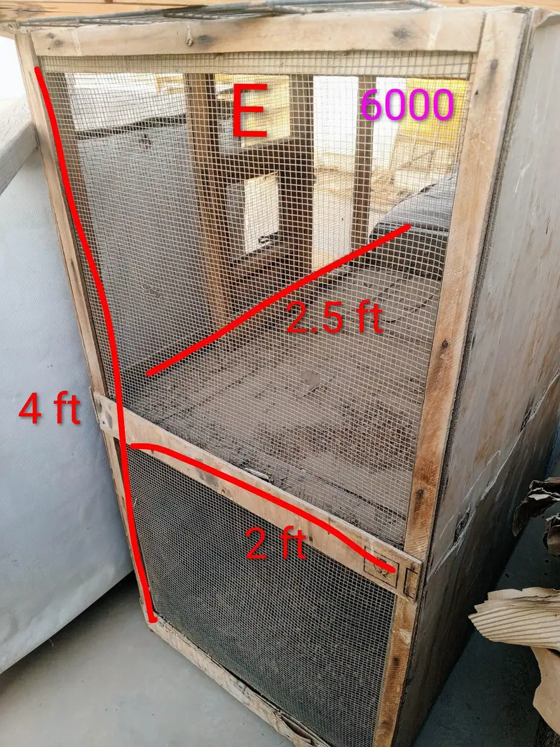 Hen Wooden Cages — photo 10