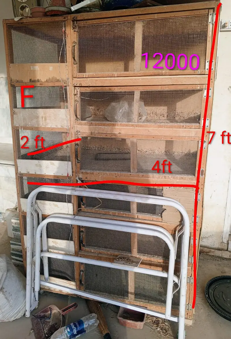 Hen Wooden Cages — photo 12