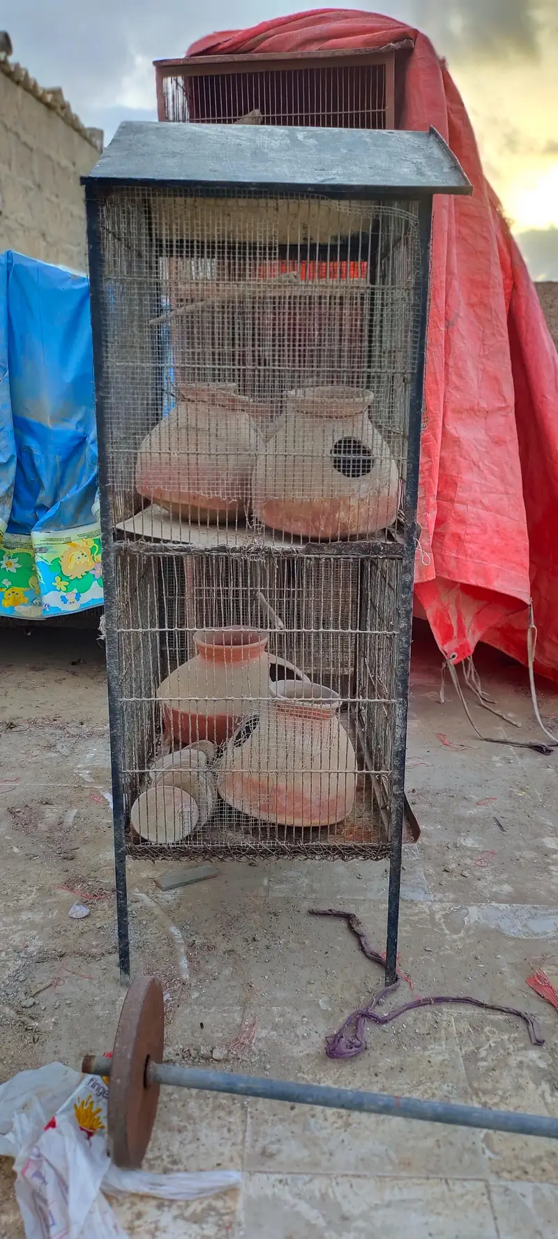 Cage for sale — photo 3