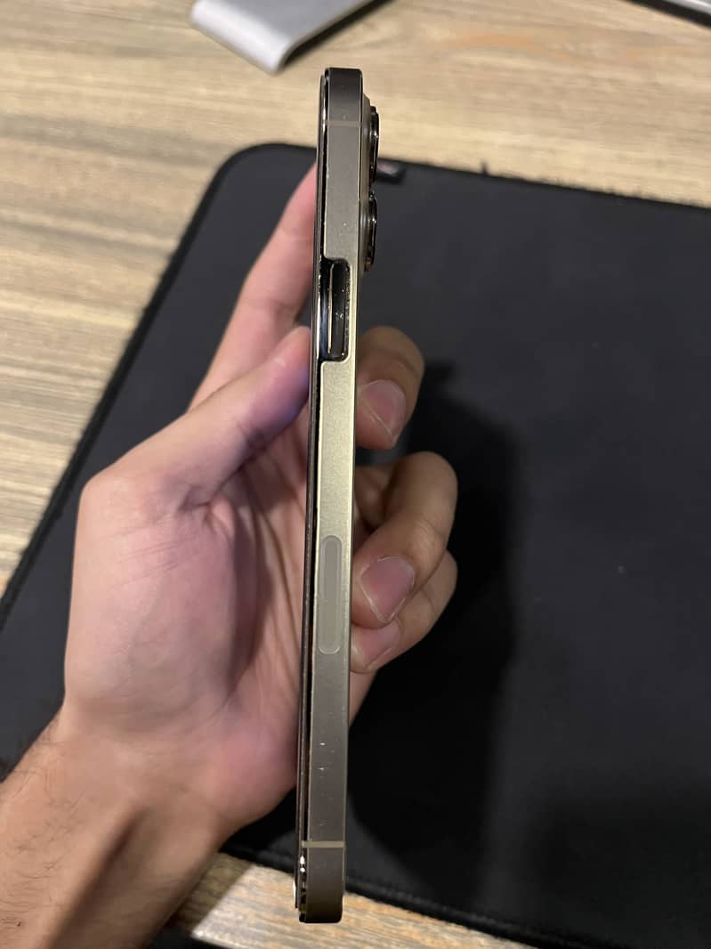 Apple iPhone 13 Pro Max 3