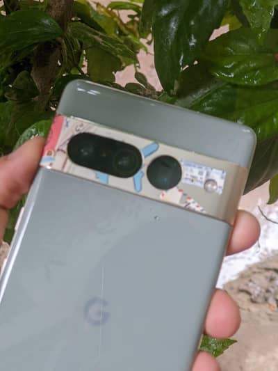 Pixel 7 Pro all ok PTA