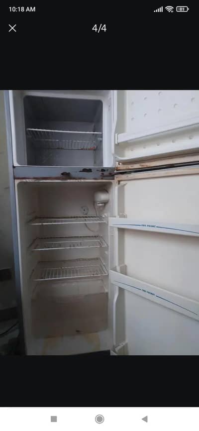 Hair Refrigerator