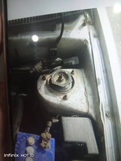 Cultus for Sale