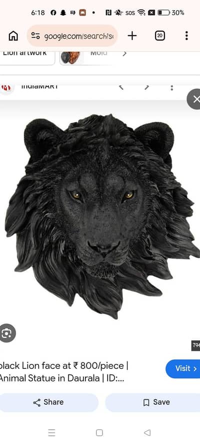 lion face 2