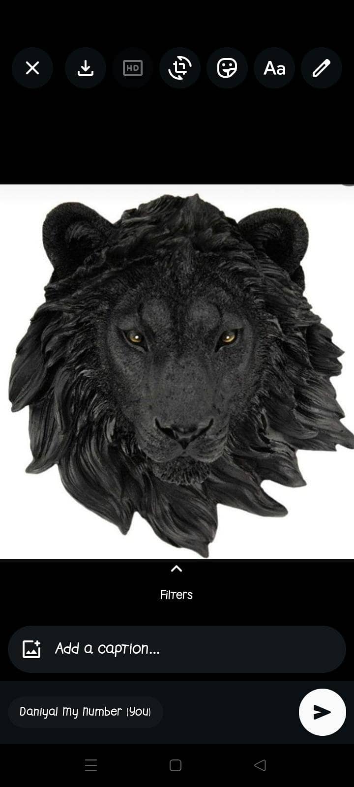 lion face 2 1