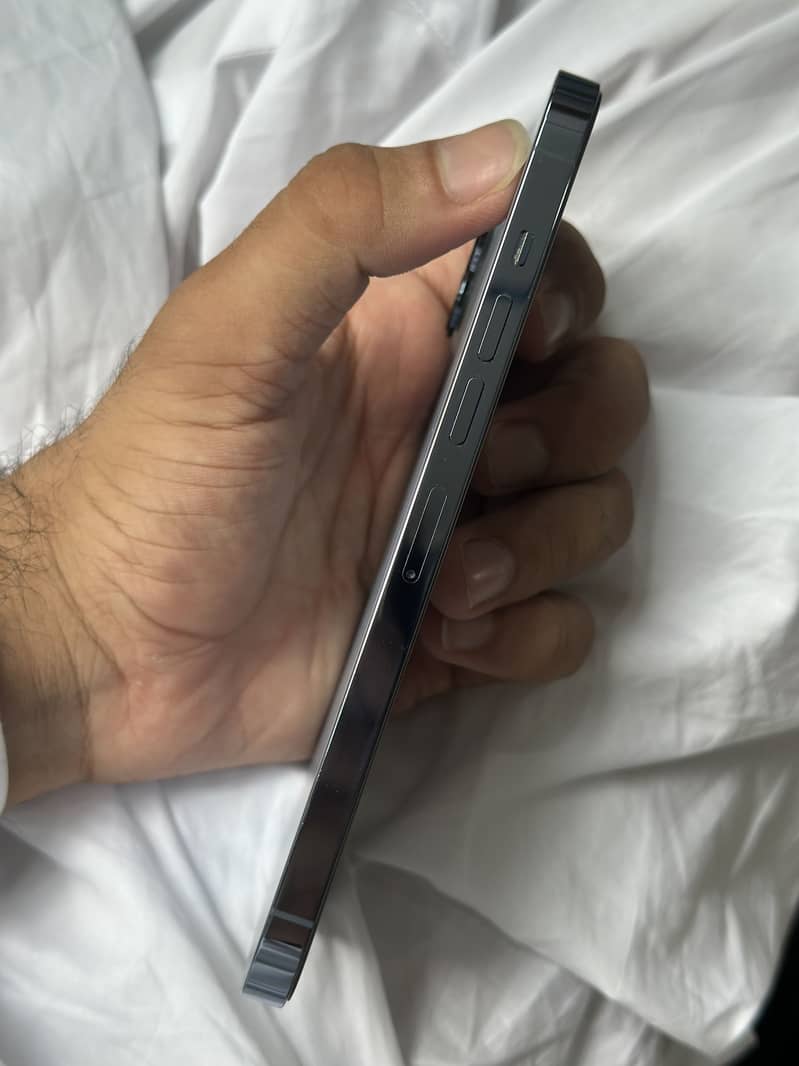 Apple iPhone 13 Pro Max 2