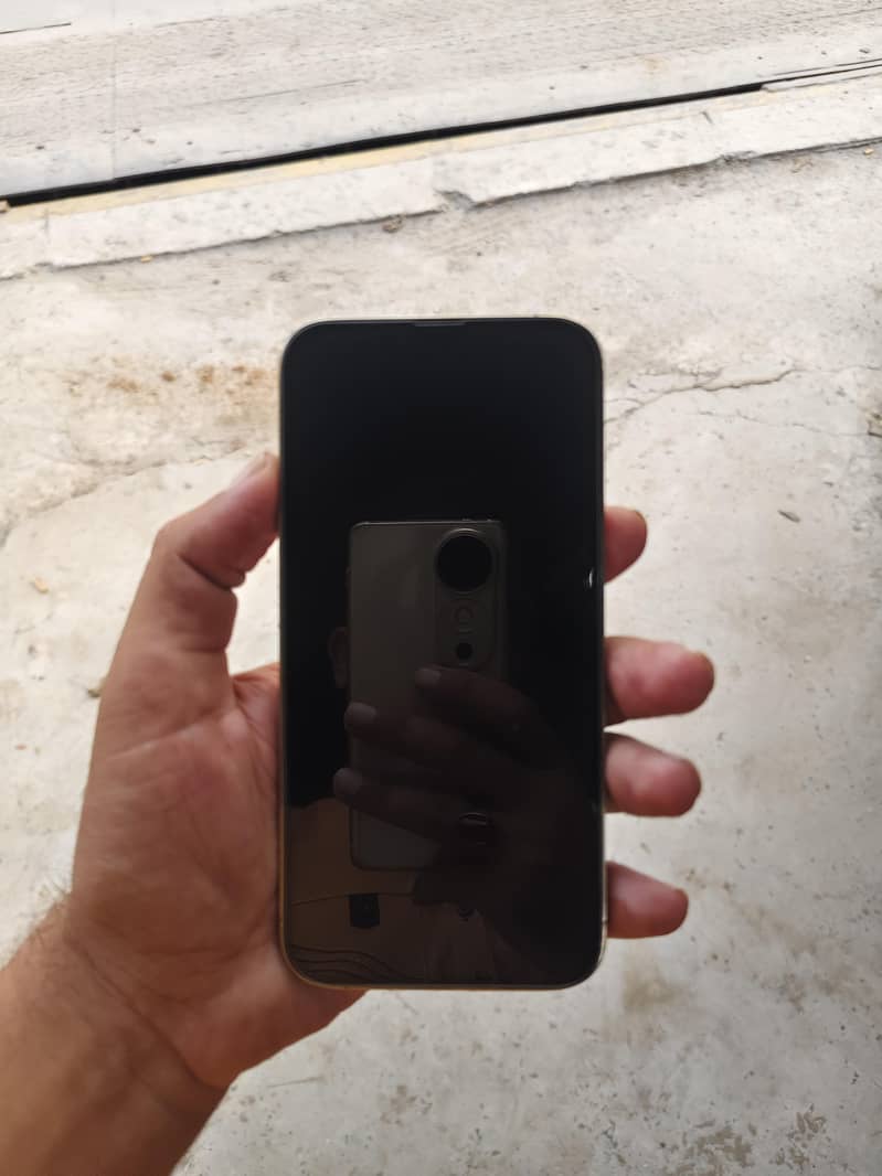 Apple iPhone 13 Pro Max 7