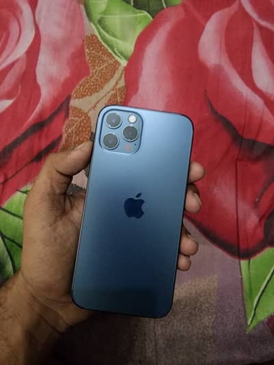 Iphone 12 PRO 256GB All Oky