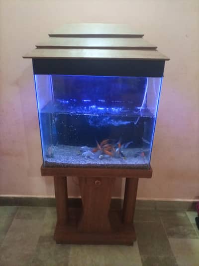 aquarium
