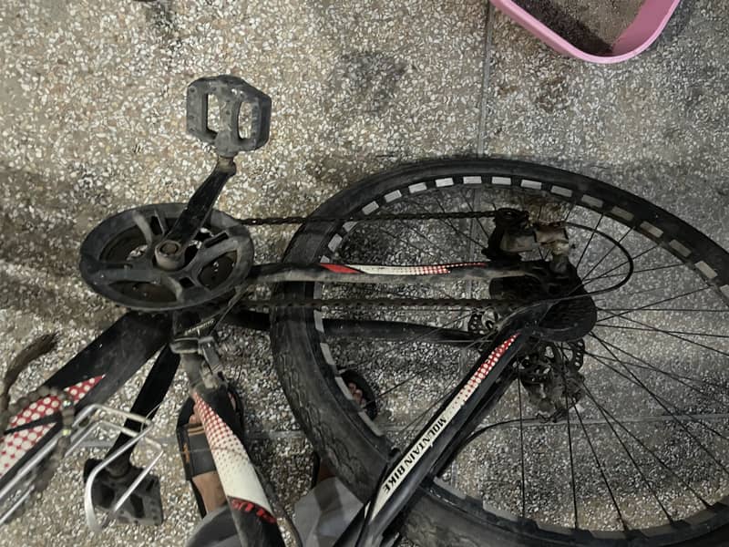 Plus cycle without gears 3