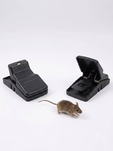 Heavy Duty Mouse & Rat Catcher Snap Traps for Home Pest Control