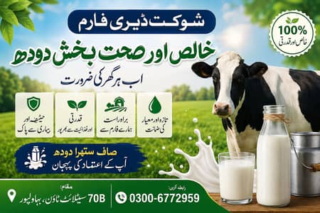Shoukat Dairies 