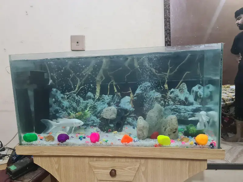 Aquarium — photo 5