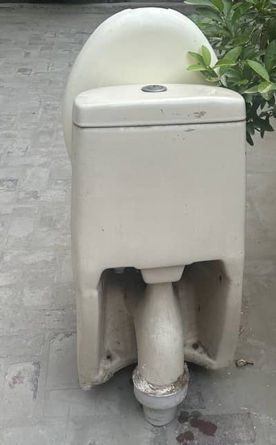 Bathroom cammod  contact on this num 03017360660