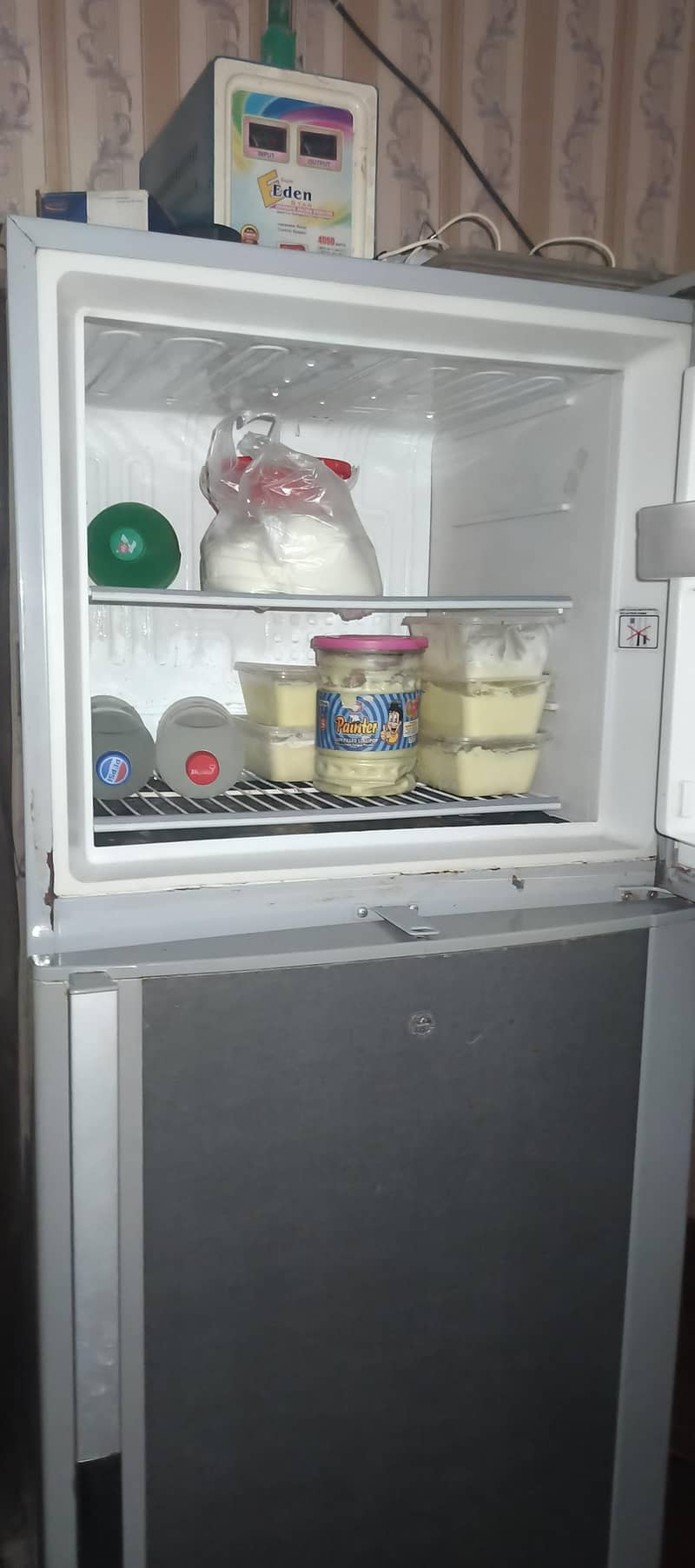 Refregreter 1