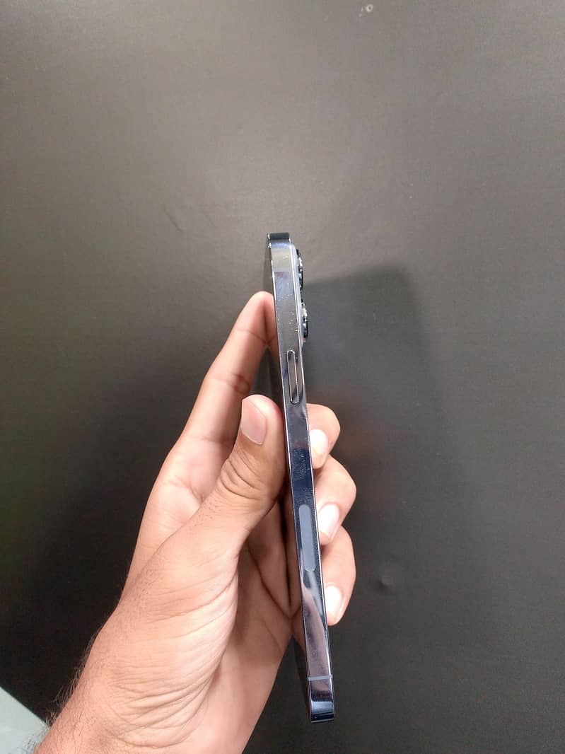 Apple iPhone 13 Pro Max 1