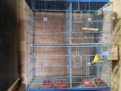cage and door