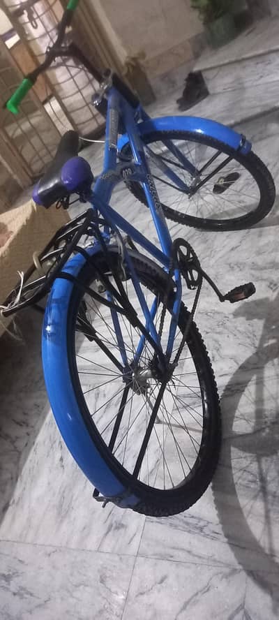 cycle