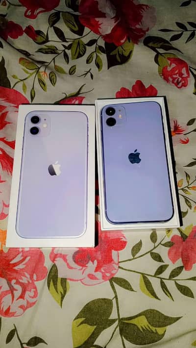 Apple iPhone 11