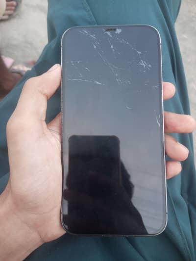 Apple iPhone 12 Pro Max
