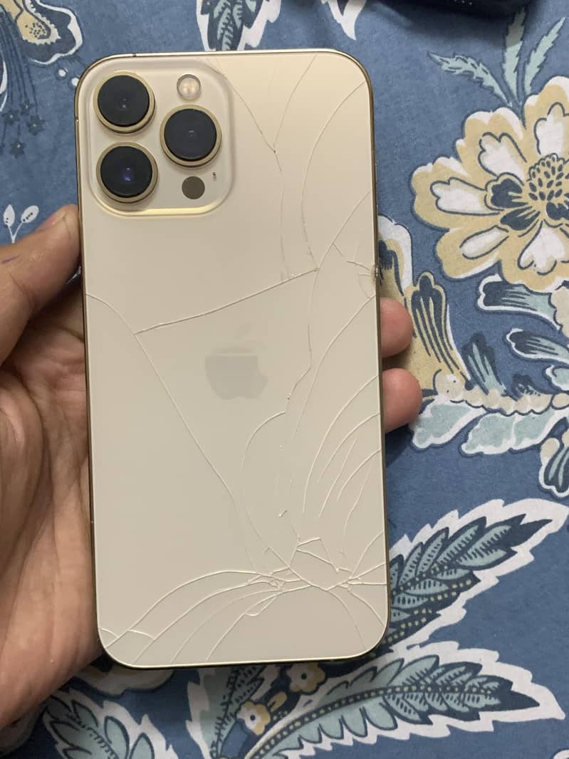 Apple iPhone 13 Pro Max 1