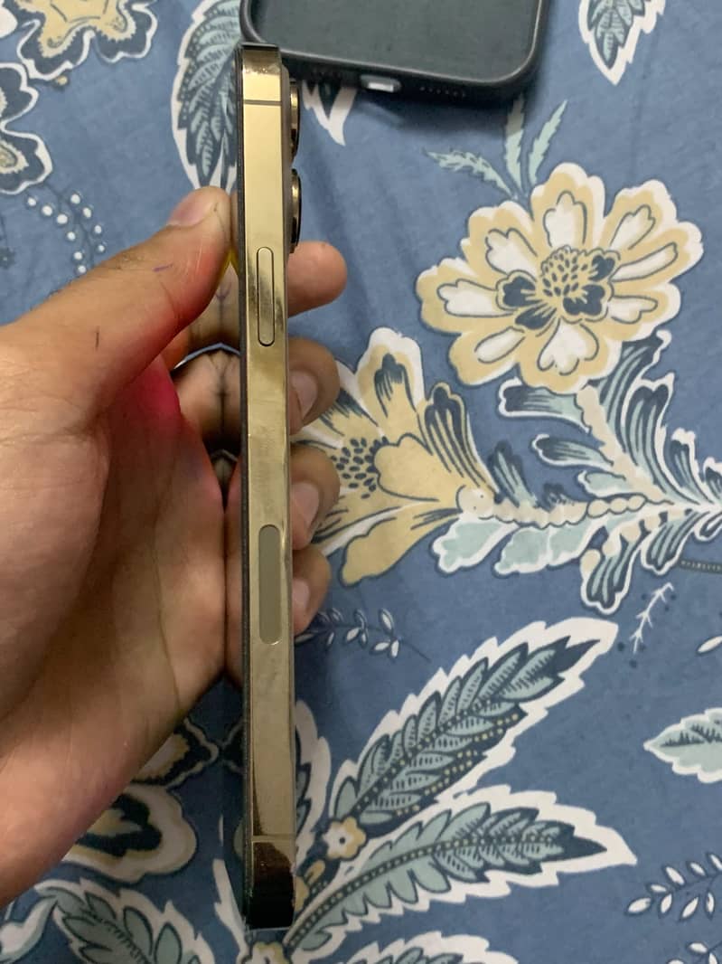 Apple iPhone 13 Pro Max 2