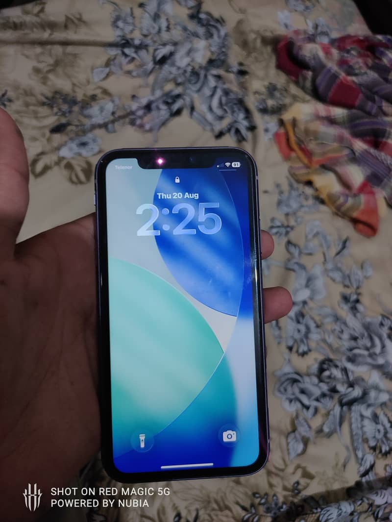 Apple iPhone 11 5