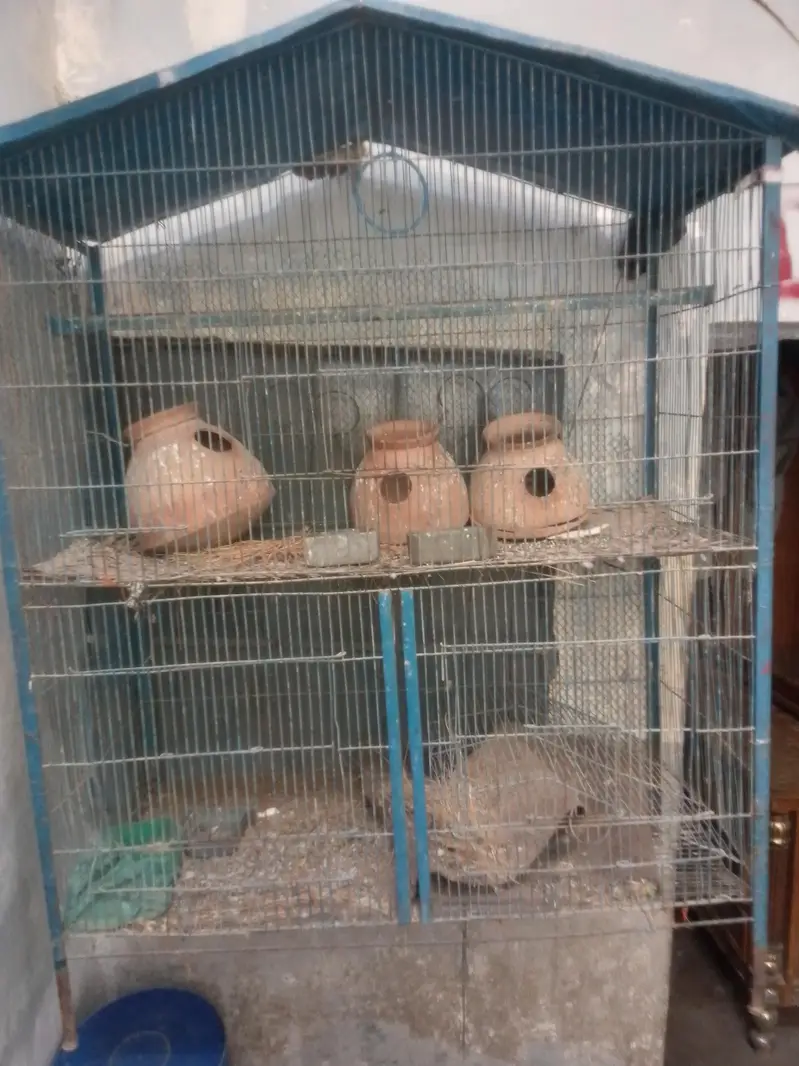 birds cage — photo 2