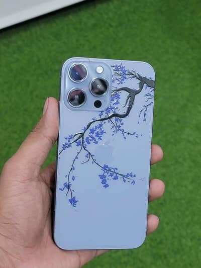 iPhone XR perineum convert 13 pro