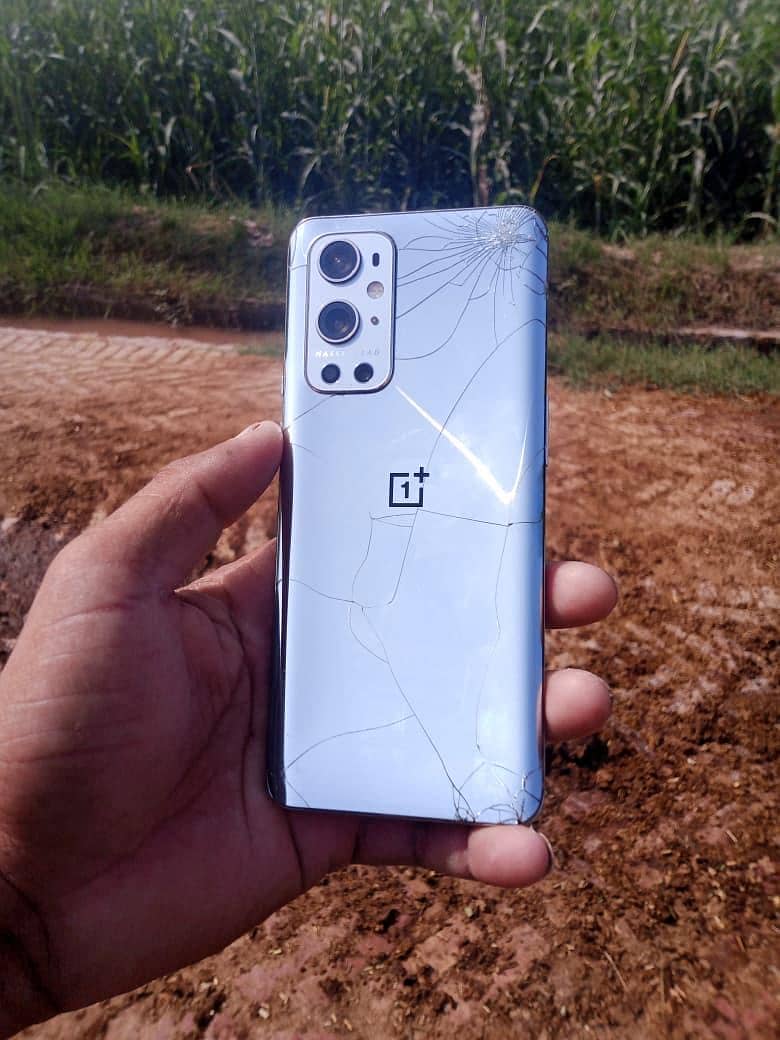 One Plus Other Model 1