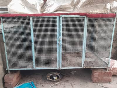 Bara Lohe Ka Bird Cage / Pinjra – 2 Khanay – Mazboot⁷