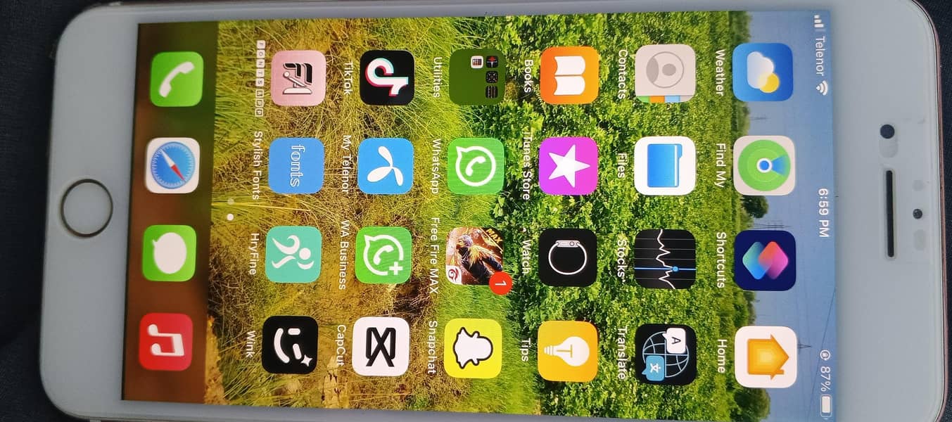 Apple iPhone 7 Plus 1
