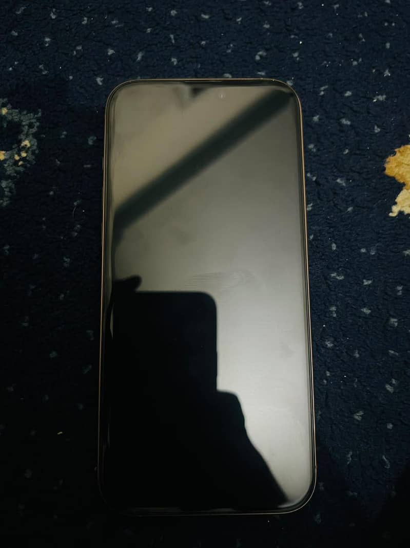 Apple iPhone 16 Pro Max 1