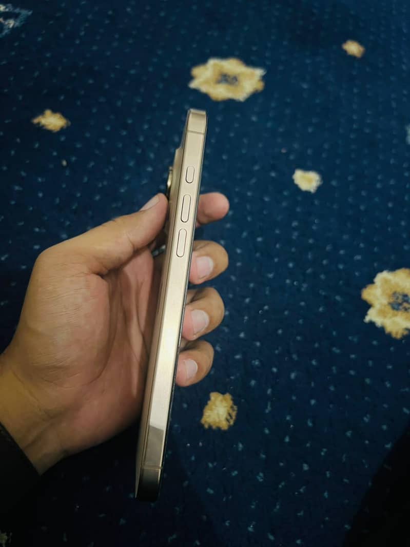 Apple iPhone 16 Pro Max 2