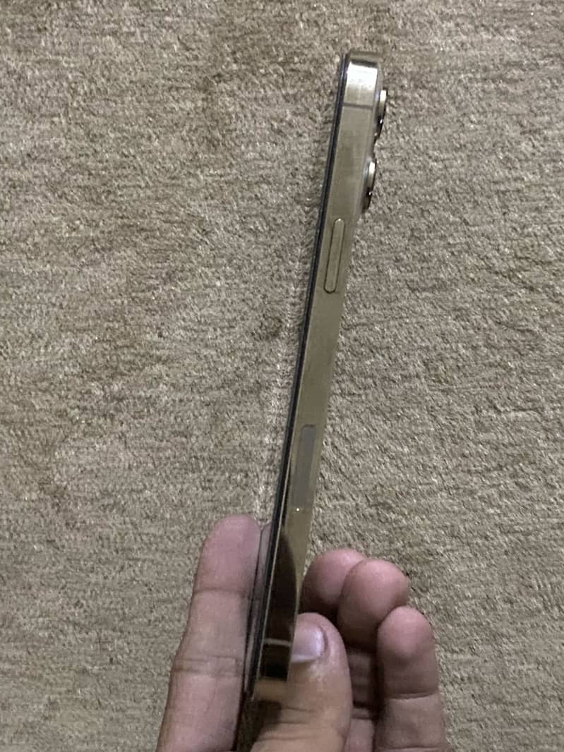 Apple iPhone 13 Pro Max 2