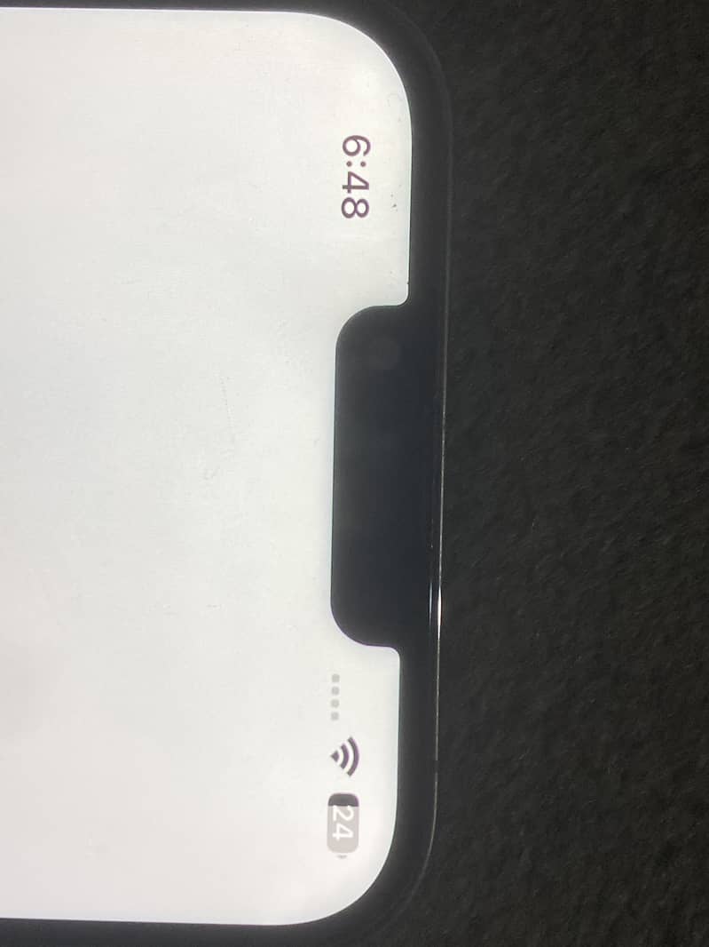 Apple iPhone 13 Pro Max 6